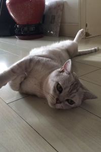 middleblue 奧羅拉星機場飯店優惠