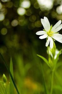 1522523**** 新加坡悦樂雅柏酒店（SG Clean）優惠