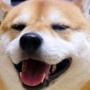 M250386**** 深圳上海賓館優惠