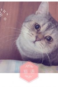 Lizhishibaheyuanyuan 重慶觀音橋華美達安可飯店優惠