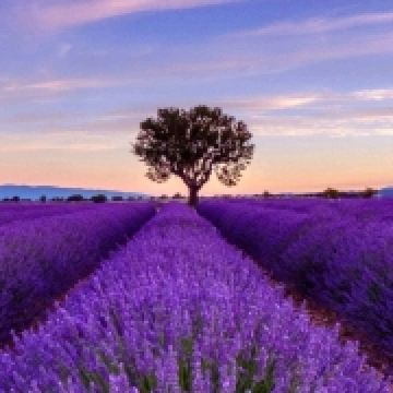 Yiluyanyangtian ニュー東洋ホテル クーポン