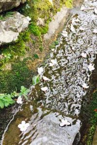 GaGa1991 關西酒店優惠