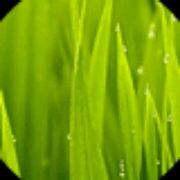 user-avatar