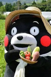 M39269**** 吉隆坡希爾頓花園酒店北店優惠