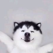 user-avatar