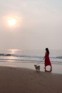 Joyce5678 長隆橫琴灣酒店（珠海長隆旗艦店）優惠