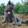 Avatar 3
