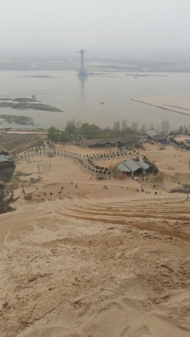 豐樂櫻花園