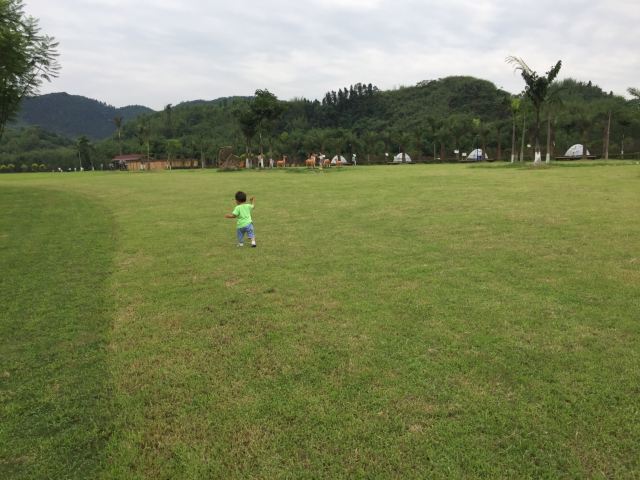 Shunan Huahai