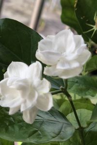 訪客 趣墅度假別墅（珠海海泉灣店）優惠