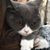 Oliver Chen CK