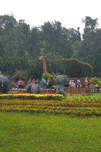 訪客 海鹽酒店及套房優惠