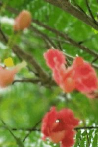 Caribbean Empress 香港中環荷李活道一尚飯店優惠