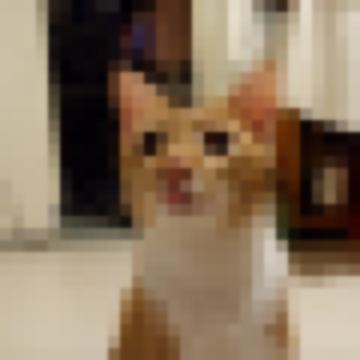 豬仔