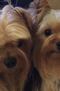 Joyce Lin 高雄巨蛋旅店優惠