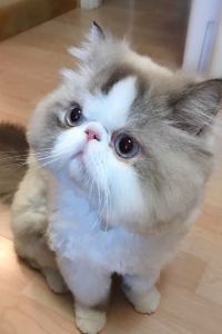 訪客用戶 漢庭飯店（太原南站東廣場店）優惠