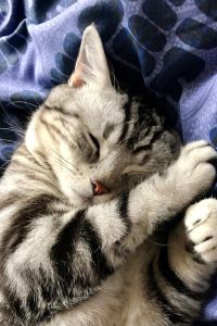 訪客用戶 廣納飯店（深圳福田店）優惠