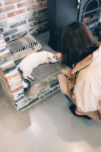 리뷰어 고창 웰파크시티 힐링카운티 쿠폰