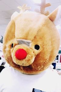 Guest User 新加坡卡爾登酒店 （Staycation Approved）優惠