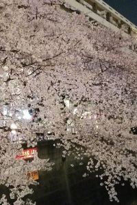 ゲスト 淡路島うずしお温泉 うめ丸 クーポン