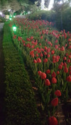 _kk***27