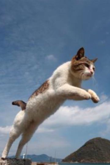 ゲスト 長野 東急REIホテル クーポン