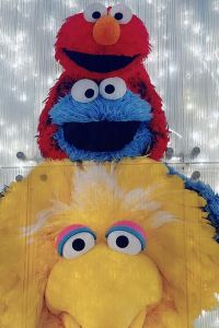 小天使泰迪 深圳益田威斯汀酒店優惠