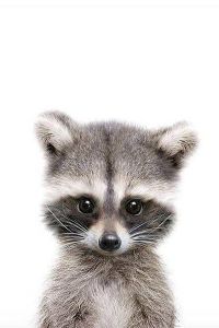 리뷰어 호텔 마누 쿠폰