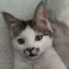 Avatar 2
