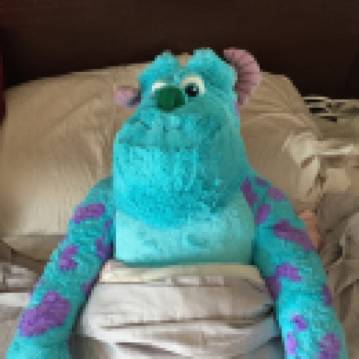 遊走每一個角落