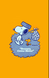 accw6688