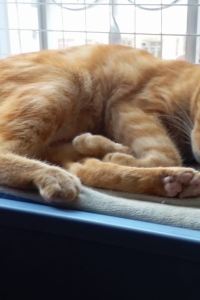 訪客用戶 成都春熙路亞朵飯店優惠