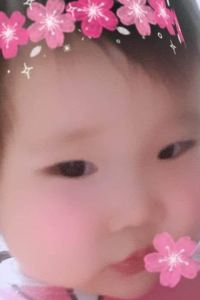 Mongolia 富士國際會館飯店優惠