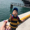 파랑콩