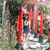 Didowu