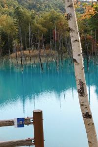 1人旅　女42 新格蘭德飯店優惠