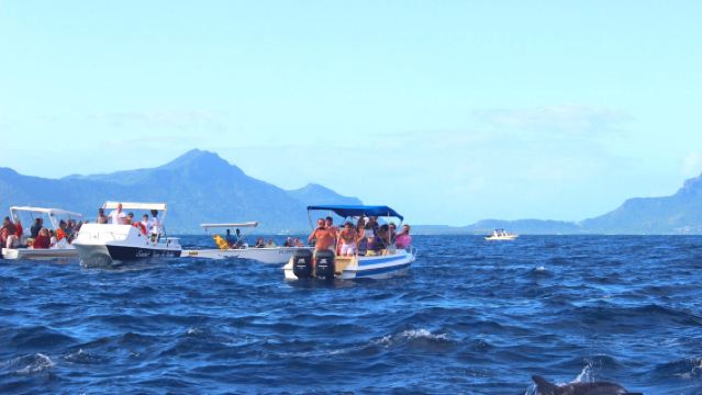 Mauritius Dolphin Watching + Cape of Good Hope + Big Wave Bay + Natural Bridge + Blue Bay Glass Boat 1-day tour