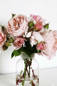 Shengweirandechuzhuangwang 上海協信莎瑪長風服務式公寓優惠