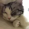 Avatar 3