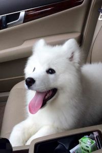 320629**** 桔子水晶北京王府井大街飯店優惠