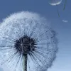 Avatar 3