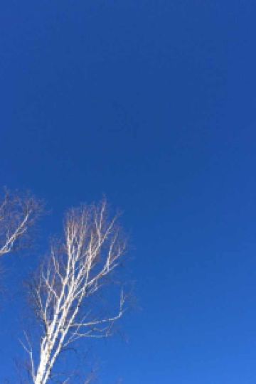 Zhouxiaola 倫敦希思羅機場萬麗酒店優惠