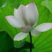 HaowaMinmin 千峋飯店（上海威寧路地鐵站店）優惠