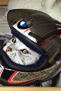 1391161**** 北京京廣中心飯店公寓優惠