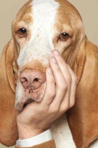 Sunshushu 溫德姆利馬機場太陽海岸飯店優惠