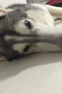 LaohuCGC717 真美度假客棧（大理洱海懸崖海景店）優惠