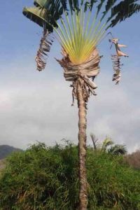 118957**** 錦江都城飯店（杭州下沙店）優惠