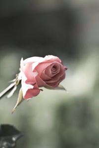 286057**** 森尼維耳科珀裡特飯店優惠