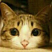 Rongmiao(lengxiaorong) 中山瑞廷酒店優惠