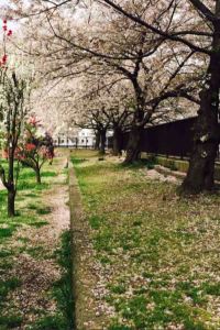 VivianMu 和モダン湯宿ゆとりろ別府 クーポン